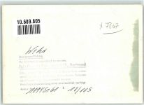 79664 W7867 Wehr , Baden Gebrauchsspuren Ort handschriftlich Foto keine AK