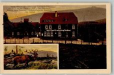 38667 W3396 Torfhaus , Harz 1915 - Hotel Wendt Brockenkrug Hirsch