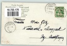 Pfingsten Kind mit Hund Maikäfer 1904 Lithographie / Künstlerkarte
