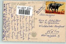 Afrika in Bildern - Lastenträgerin Afrikan. Volkstyp