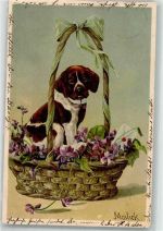 Hund Korb Brief Veilchen Winkler u. Voigt 5691 Mailick, A. 1905 Prägedruck