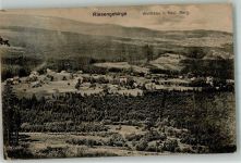 Wolfshau Wilcza Poreba 1919 Foto AK
