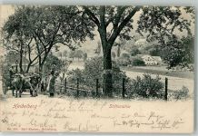 69115 W6900 Heidelberg , Neckar 1903 Gebrauchsspuren Stiftsmühle Ochsengespann