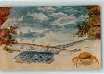 Aquarium Künstlerkarte Fisch