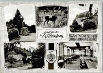55758 W6581 Kempfeld - Gaststätte des Hunsrückvereins Innenaufnahme Gastraum Hirsch Wappen Mehrfachaufnahme Wildenburg