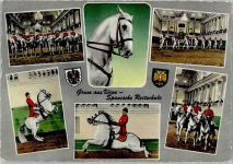 Bilder von 1986 - Veranstaltung Spanische Reitschule