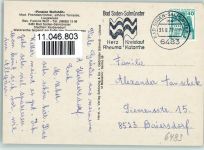 63628 W6483 Kerbersdorf - Pension Wolfshöh Bernhardiner 4-Bildaufnahme