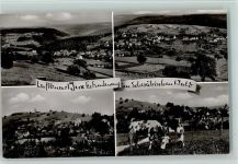 71579 W7151 Jux - Ortsansichten Kuh 4-Bildaufnahme