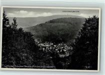 61389 W6384 Schmitten , Taunus - Blick vom Leisenbachtal Großer Feldberg