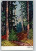 Nr. 967 - Waldlichtung - Rüdisühli, H.