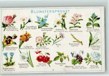 Blomensproget Blumensprache