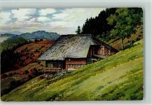 Elchlepp Nr. 1 - Schwarzwaldhaus Lederle Künstlerkarte
