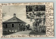31832 W3257 Springe , Deister 1903 - Haus und Fütterung im Kaiserl. Saupark AK
