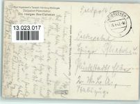 Südpolar Panorama - See Elefanten und Pinguine 1942 AK Zoo