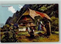 Schwarzwaldhaus, Bauernhaus , Brunnen Moralt, W.