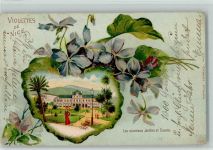 06000 Nice Nizza - 1905 Lithographie Violettes de Nice Les nouveaux Jardins et Casino