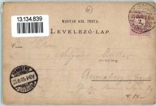 Budapest 1895 Gebrauchsspuren Andrassy-Straße Akademie der Wissenschaften Lithographie