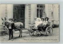 Kinder des Fürsten Herbert von Bismarck im Schlosspark mit einer Eselskutsche 1907 AK e Adel