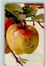 Äpfel- sign C. Klein - Tucks Serie Früchte Nr. 380 B Frucht, Gemüse Lithographie / Künstlerkarte