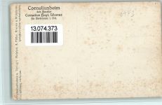 69488 W6943 Birkenau , Odenw - Corneliusheim des Hauses Cornelius Heyl