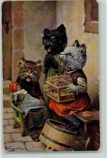 Tiere vermenschlicht Katzen Puppe Käfig TSN Serie 1646 Es ist bestimmt in Gottes Rat Thiele, Arthur