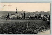91443 W8533 Scheinfeld 1913