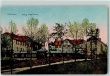 09423 O9374 Gelenau , Erzgeb AK mit Goldfenster König Albert-Heim