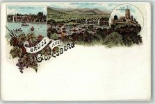 53111 W5300 Bad Godesberg Lithographie Neuer Kurpark Weintrauben Ruine Godesberg Siebengebirge