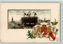67000 Strasbourg Straßburg Passepartout Prägedruck Storchennest Störche Wappen Lithographie