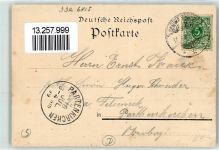 07427 O6825 Schwarzburg 1899 Lithographie Schweizerhaus Schwarzathal