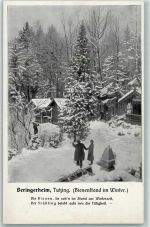 W8132 Tutzing Beringerheim Bienenstand im Winter AK Biene