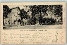 06493 O4301 Alexisbad 1914 - Hotel Elysium Selkethal Harz