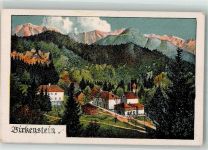83730 W8165 Birkenstein Künstlerkarte