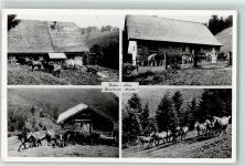 83224 W8217 Grassau , Chiemgau Foto AK Hefter-Alm Pferdeweide Hüttenstempel