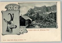 Erfurter Hütte Foto AK Achensee Gämse