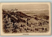 W7799 Heiligenberg , Baden Teilansicht, sign Eug. Felle 1906 AK Felle, Eugen Künstlerkarte