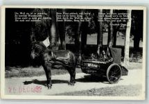 Hamburg-Paris Pony zieht ein Gefährt Globetrotter Rekord 1932