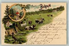 Künzli Dep. 615 Kühe Hirte Gruss aus den Bergen 1899 Lithographie