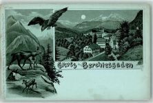 83471 W8240 Berchtesgaden Lithographie / Mondschein Adler Gämse