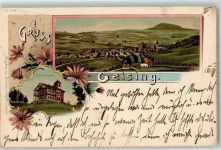 01778 O8244 Geising 1898 Lithographie Mückenthurm