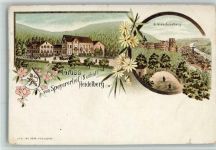 69115 W6900 Heidelberg , Neckar 1898 Lithographie Gruss aus - vom Speyerhof Restaurant AK