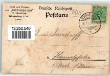 07427 O6825 Schwarzburg 1892 Lithographie Vorläufer