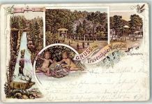 98596 O6089 Trusetal 1907 Gebrauchsspuren Gruss vom Trusethaler Wasserfall Blumen Kinder Lithographie