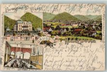 38667 W3388 Bad Harzburg 1899 Lithographie Bockmanns Hotel
