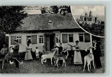 35619 W6333 Braunfels 1908 - Schöne AK Forsthaus im Tiergarten, Leute füttern die Rehe am Forsthaus AK