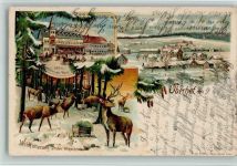 98559 O6055 Oberhof , Thüringen 1898 Lithographie Gruss aus - Hotel Thüringer Wald, Wildfütterung, Winter AK