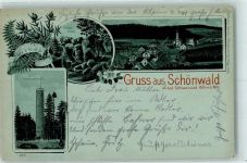 78141 W7741 Schönwald im Schwarzwald 1903 - Günther-Felsen Stöcklewaldhof