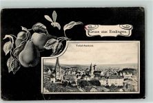 73728 W7300 Esslingen am Neckar - Birnen Passepartout
