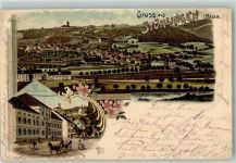 79780 W7894 Stühlingen 1898 Lithographie Hotel zum Goldenen Hirsch Ottmar Zieher