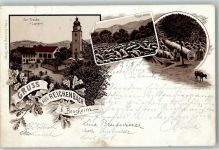 64686 W6147 Reichenbach , Odenw 1896 Lithographie Gasthaus Zur Traube I. Lampert Felsenmeer Riesensäule